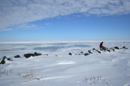 Arctic Ocean Wiki Commons